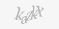 Қорғаныс коды